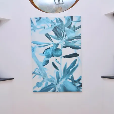 Villa Zeytinkaya Kaş